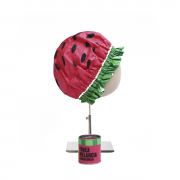 Watermelon Shower Cap